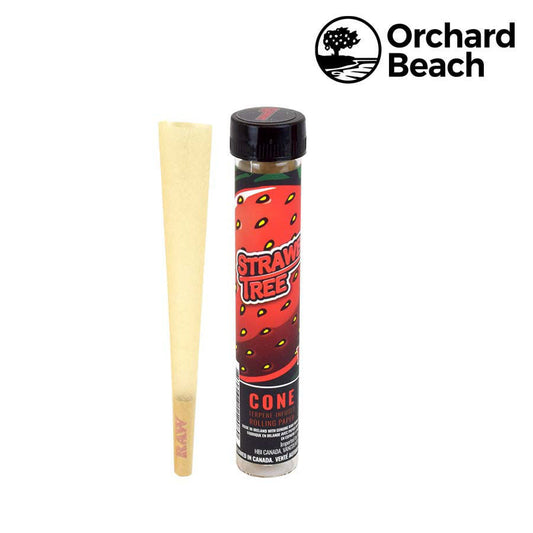 RAW x Orchard Beach | Strawberry Tree Terpene Infused Pre-Rolled Cone | King Size | 12 Pack Box