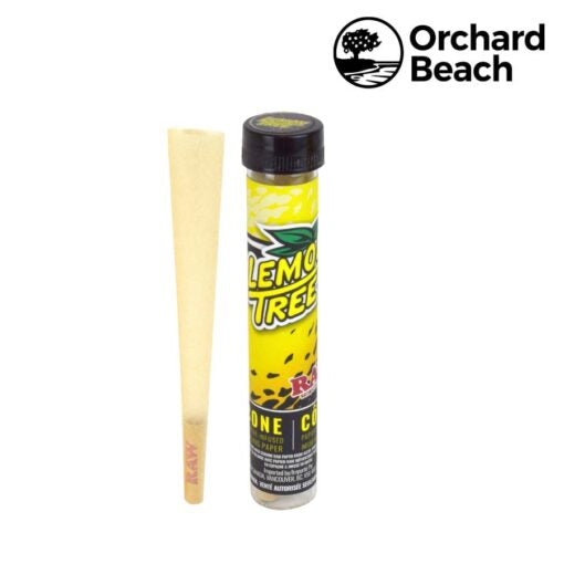 RAW x Orchard Beach | Lemon Tree Terpene Infused Pre-Rolled Cone | King Size | 12 Pack Box